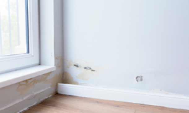 Damaged wall