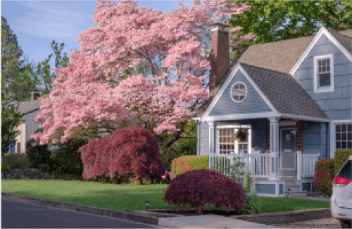 Bright day house in yard with blooming tree
