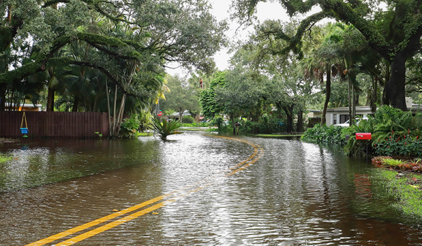 Flooded Street